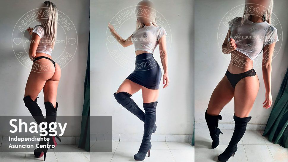 MODELO BANNER Shaggy.jpg