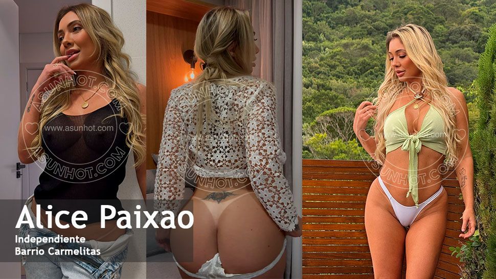 MODELO BANNER Alice.jpg